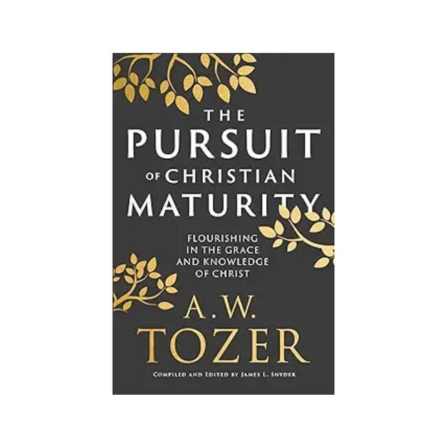 The Pursuit Of Christian Maturity