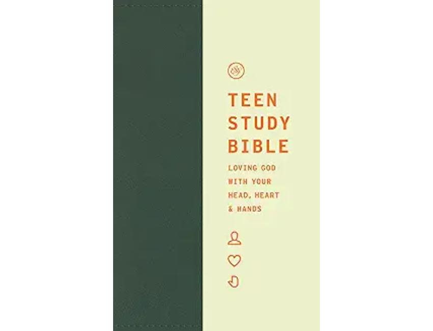 ESV Teen Study Bible TruTone®, Seaside Blue