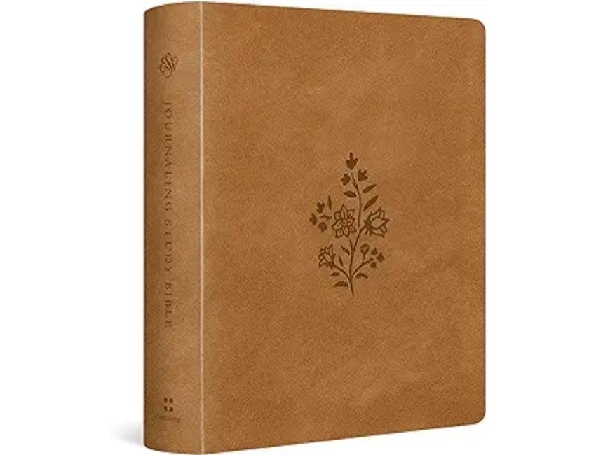 ESV Journaling Study Bible - TruTone® over Board, Nubuck Caramel