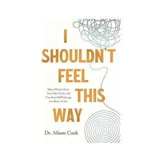 Allison Cook I Shouldn't Feel This Way