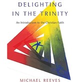 Delighting in the Trinity: An Introduction to the Christian Faith