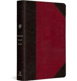 ESV Student Study Bible® TruTone®, Brown/Cordovan, Portfolio Design