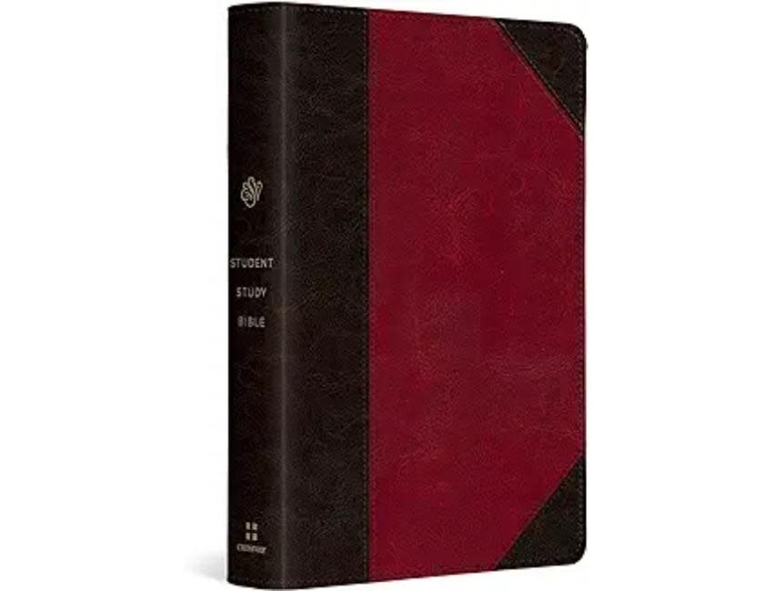 ESV Student Study Bible® TruTone®, Brown/Cordovan, Portfolio Design