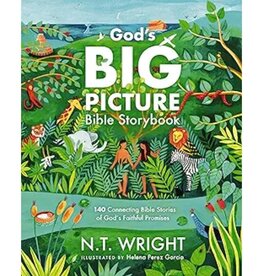 God's Big Picture Bible Storybook