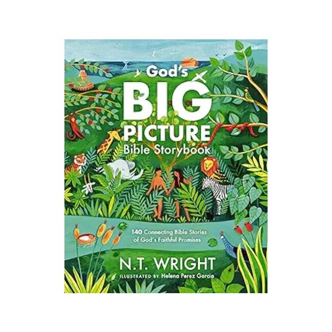 God's Big Picture Bible Storybook