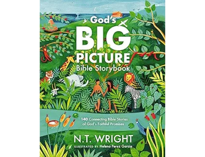 God's Big Picture Bible Storybook