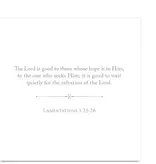 100 Days of Scripture Anne Neilson Card Set