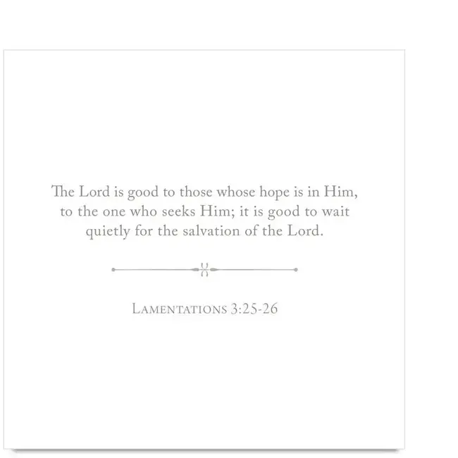 100 Days of Scripture Anne Neilson Card Set