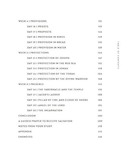 Dr. Joel Muddamalle/Lysa Terkeurst 30 Days with Jesus Bible Study Guide: Experiencing His Presence throughout the Old and New Testaments