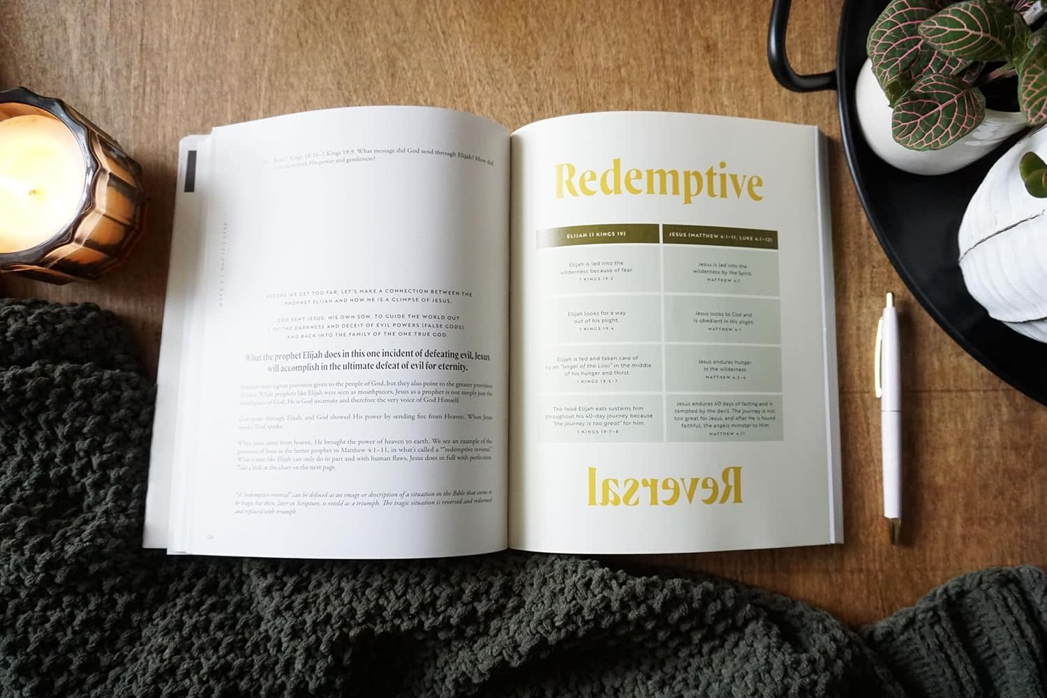 Dr. Joel Muddamalle/Lysa Terkeurst 30 Days with Jesus Bible Study Guide: Experiencing His Presence throughout the Old and New Testaments