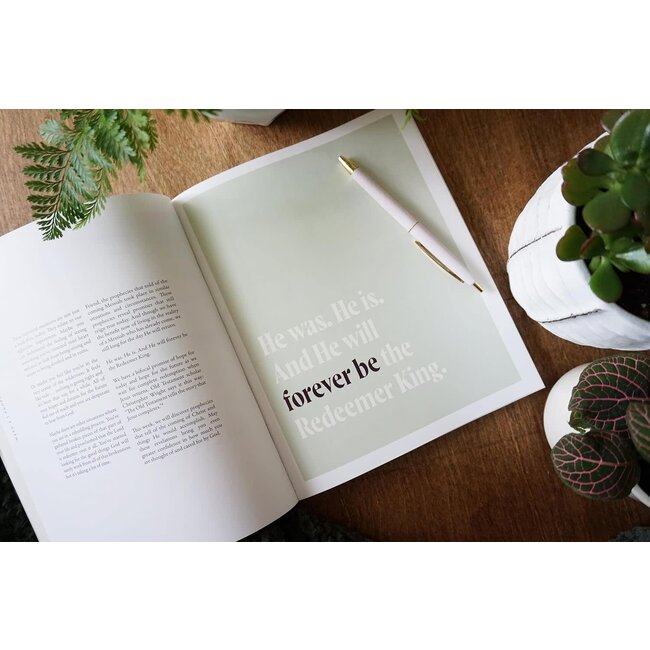 30 Days with Jesus Bible Study Guide: Experiencing His Presence throughout the Old and New Testaments