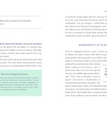 Betsy Painter A Christian's Guide to Planet Earth: Why It Matters and How to Care for It