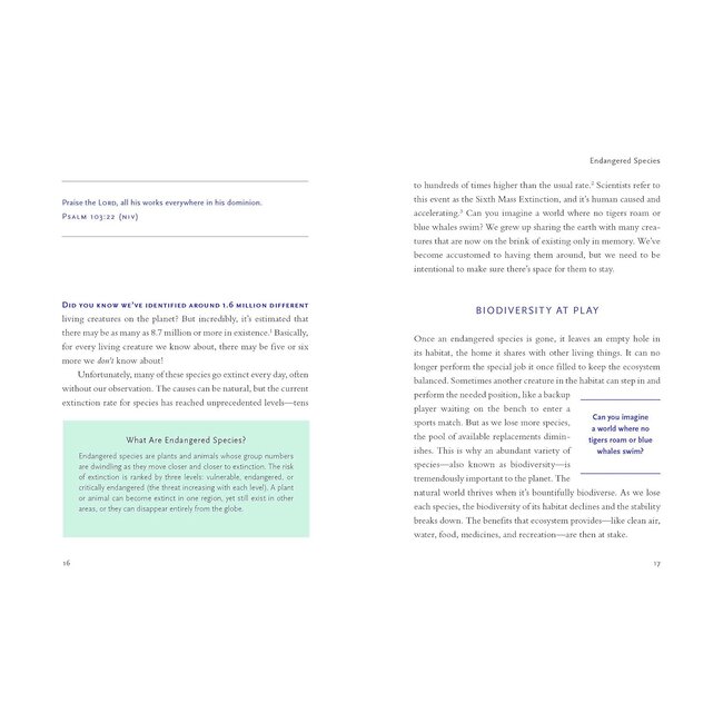 A Christian's Guide to Planet Earth: Why It Matters and How to Care for It