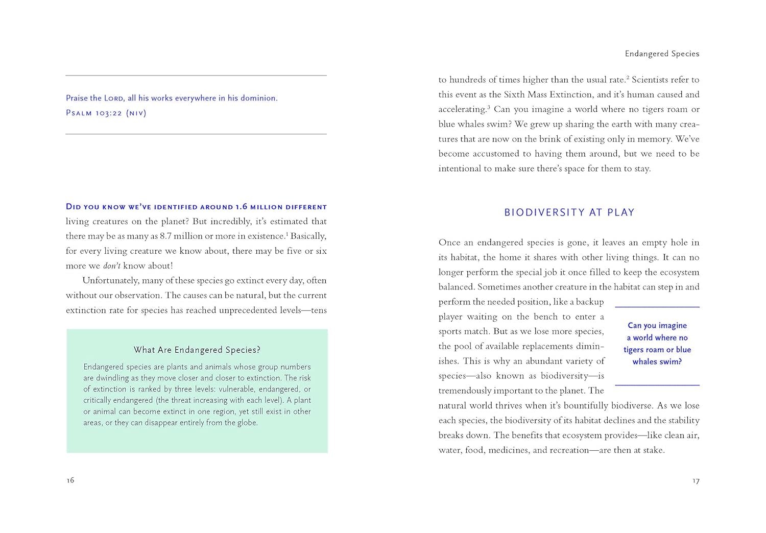 Betsy Painter A Christian's Guide to Planet Earth: Why It Matters and How to Care for It