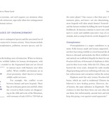 Betsy Painter A Christian's Guide to Planet Earth: Why It Matters and How to Care for It