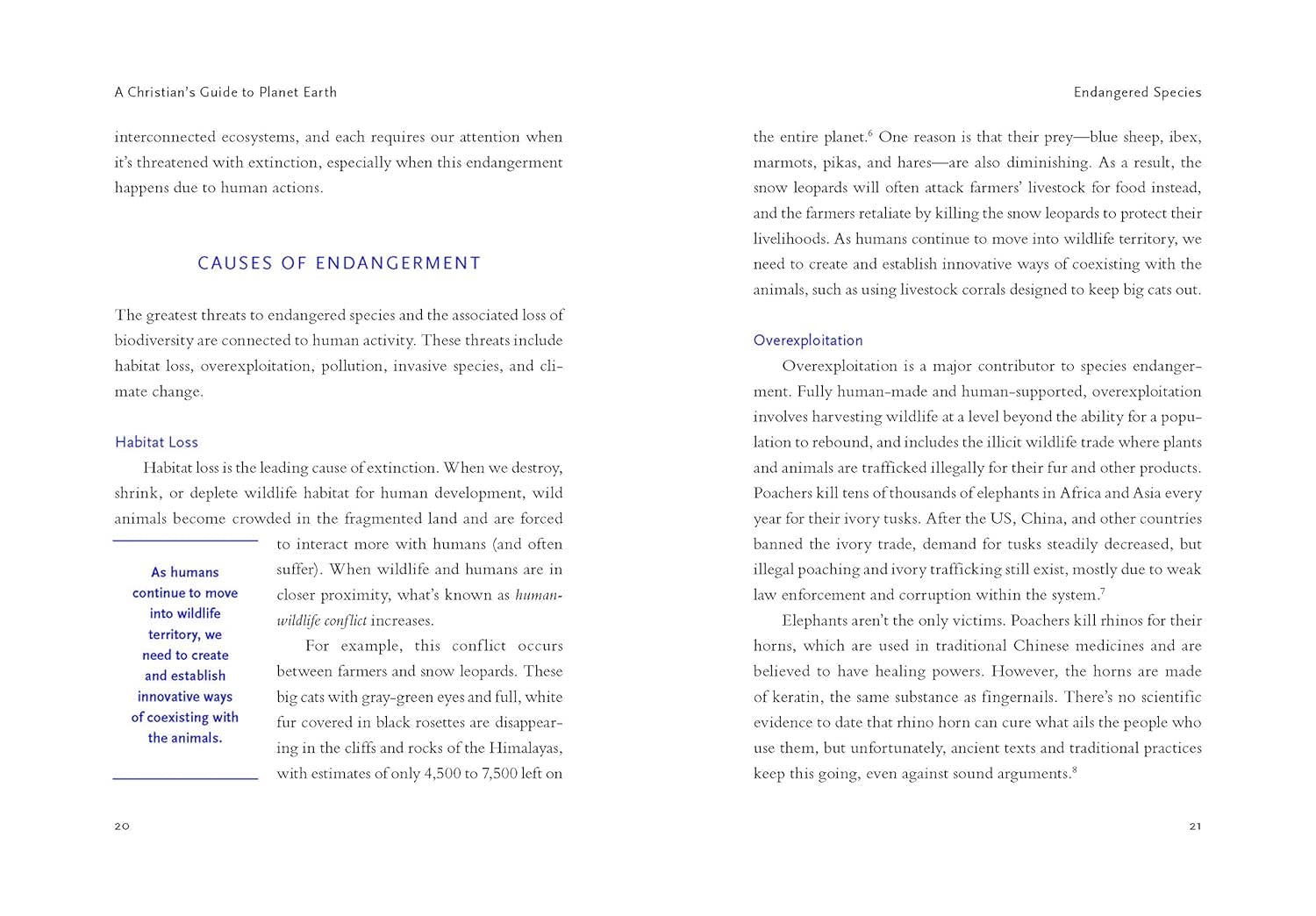Betsy Painter A Christian's Guide to Planet Earth: Why It Matters and How to Care for It