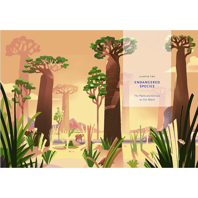 A Christian's Guide to Planet Earth: Why It Matters and How to Care for It