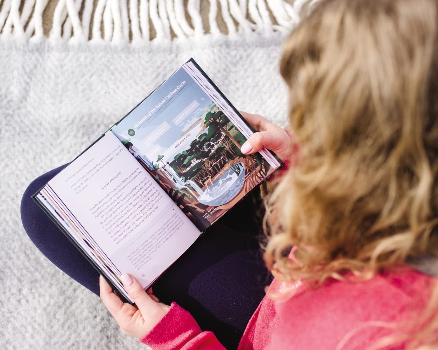 Betsy Painter A Christian's Guide to Planet Earth: Why It Matters and How to Care for It
