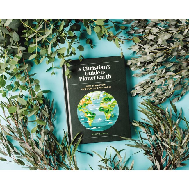 A Christian's Guide to Planet Earth: Why It Matters and How to Care for It