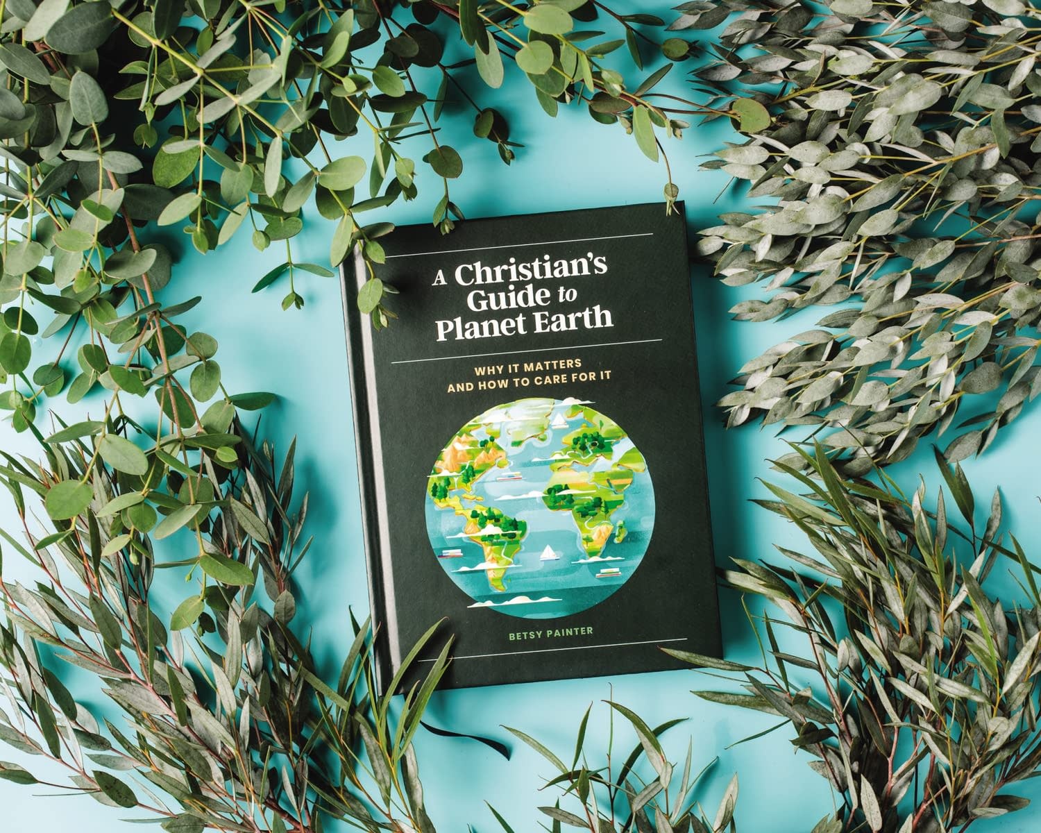 Betsy Painter A Christian's Guide to Planet Earth: Why It Matters and How to Care for It