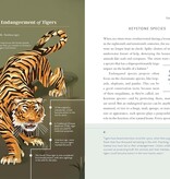 Betsy Painter A Christian's Guide to Planet Earth: Why It Matters and How to Care for It