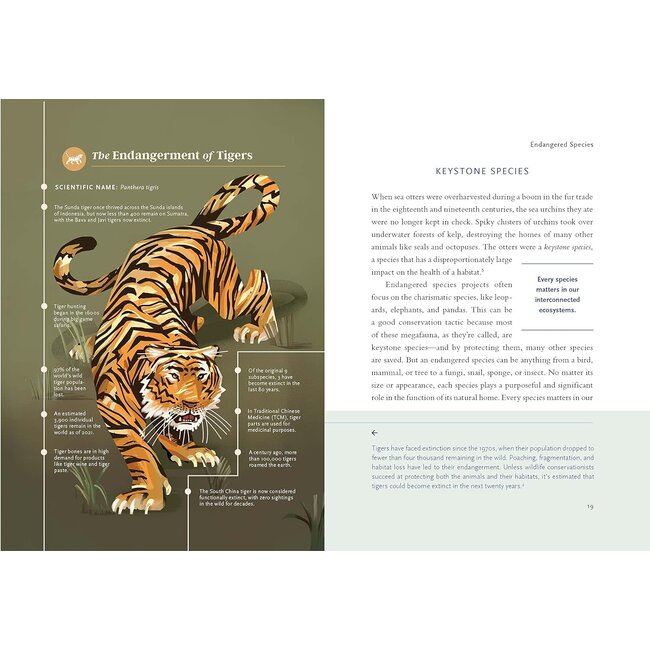 A Christian's Guide to Planet Earth: Why It Matters and How to Care for It