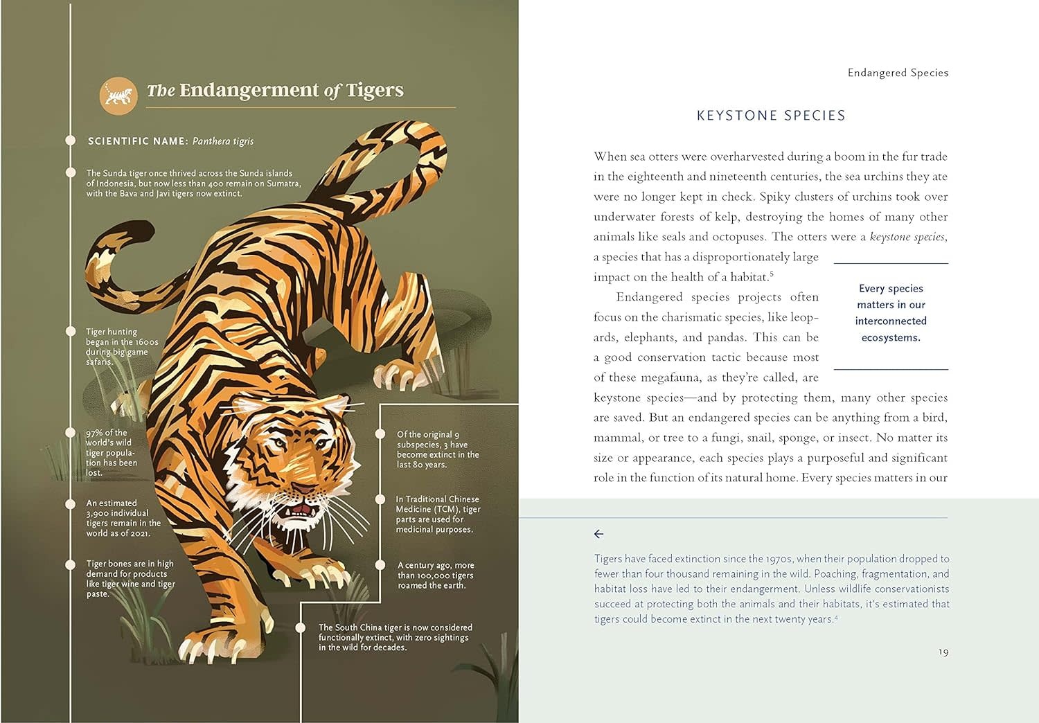 Betsy Painter A Christian's Guide to Planet Earth: Why It Matters and How to Care for It