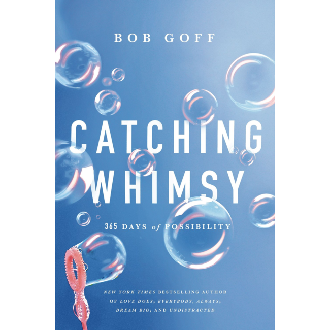 Catching Whimsy: 365 Days of Possibility