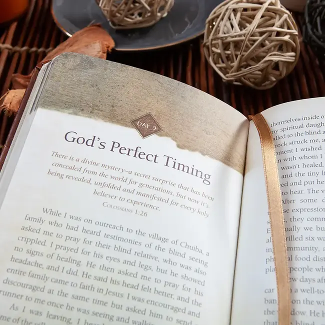 God's Got This: 40 Devotions of Courageous Faith