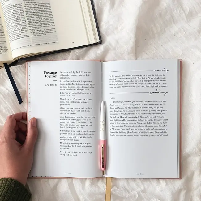 All Things New - Praying Scripture Journal