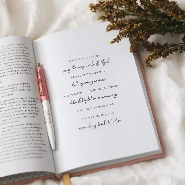 All Things New - Praying Scripture Journal