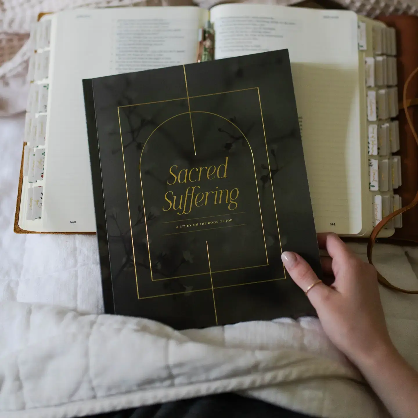 Sacred Suffering | A Study On the Book of Job