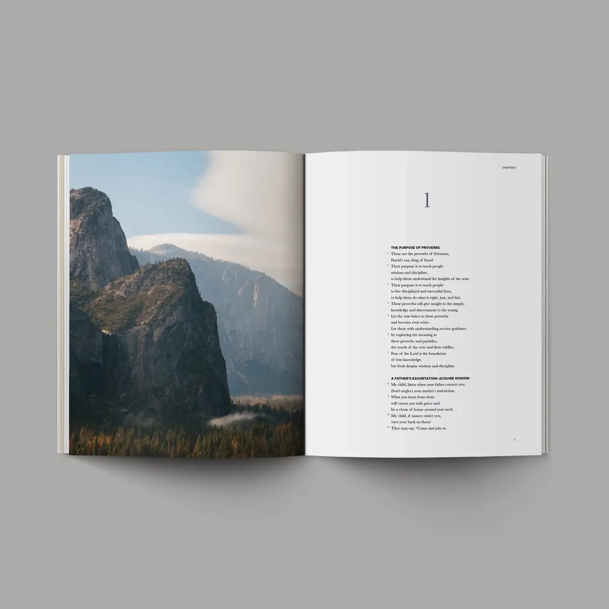 The Book of Proverbs - Hardcover