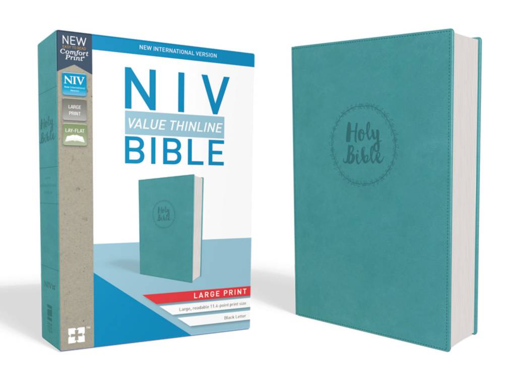 NIV Value Thinline Bible Large Print - Blue