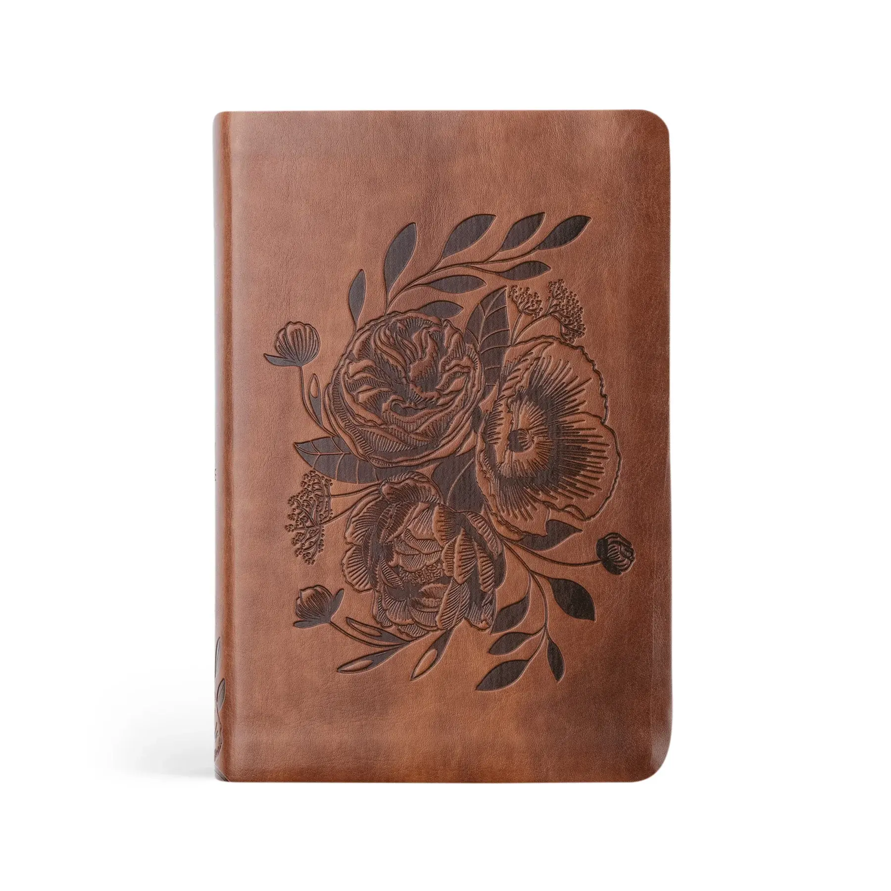 NLT Compact Bible Aurora Theme Seacoast Bookstore Nlt compact bible aurora theme seacoast bookstore