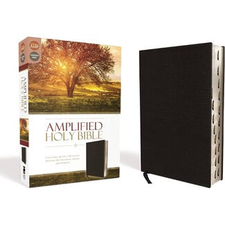 Amplified Holy Bible - Bonded Leather, Black Indexed