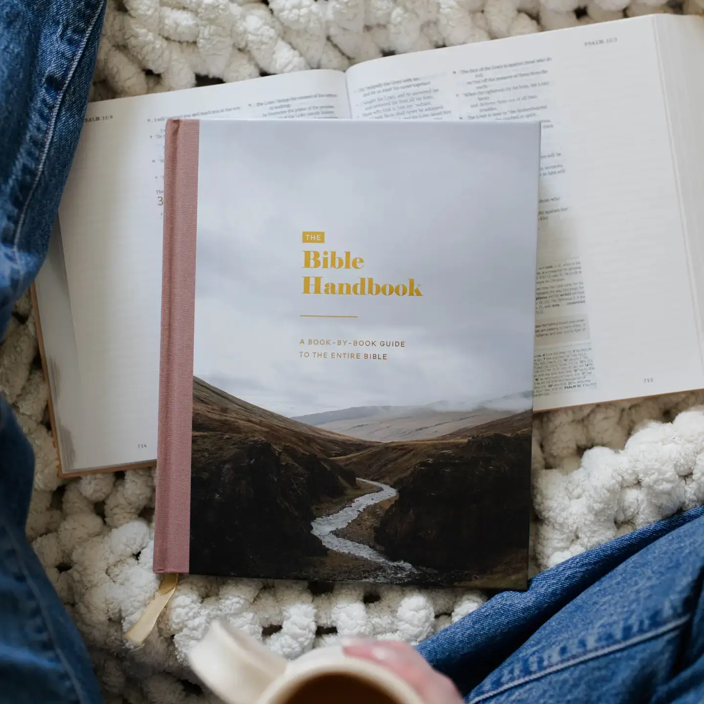 The Bible Handbook: A Book-By-Book Guide To the Entire Bible