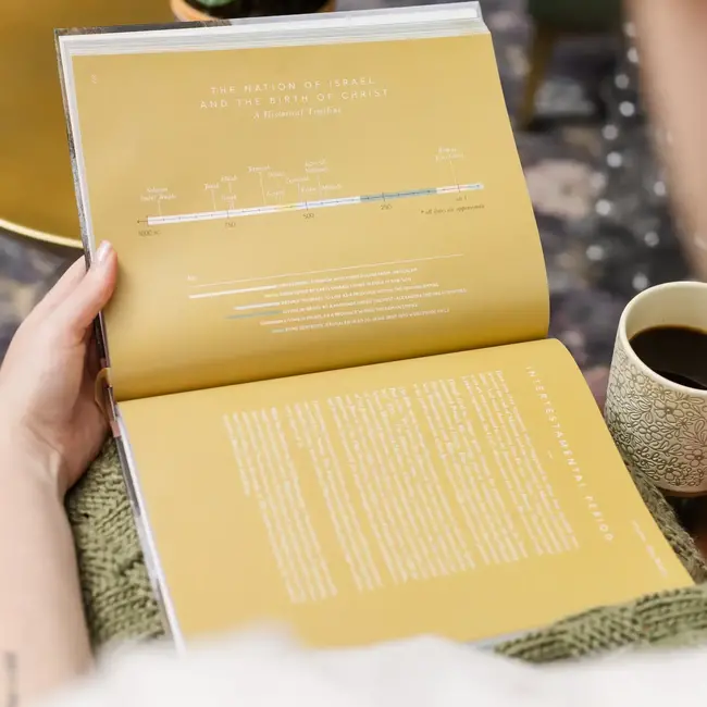 The Bible Handbook: A Book-By-Book Guide To the Entire Bible