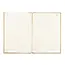 Blank Paintable Notebook - Dotted Interior