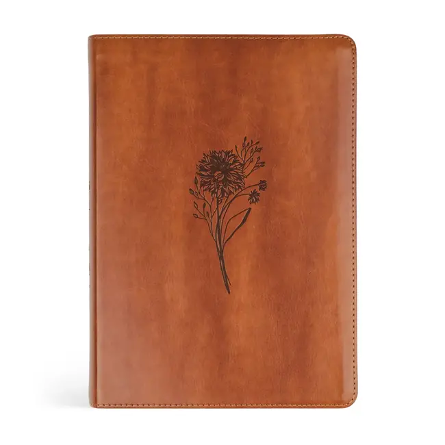 ESV Journaling Bible Large Print: Sierra Theme