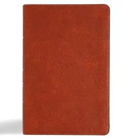 CSB Large Print  Personal Size Reference Bible Burnt Sienna Leathertouch Indexed