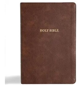 CSB Grace Bible Brown Leathertouch