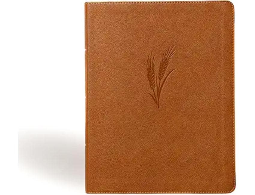 CSB Notetaking Bible, Large Print Edition