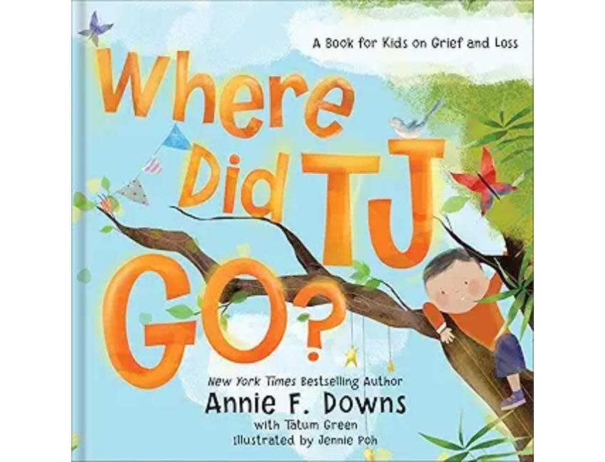 Annie F. Downs Where Did TJ Go? A Book for Kids on Grief and Loss