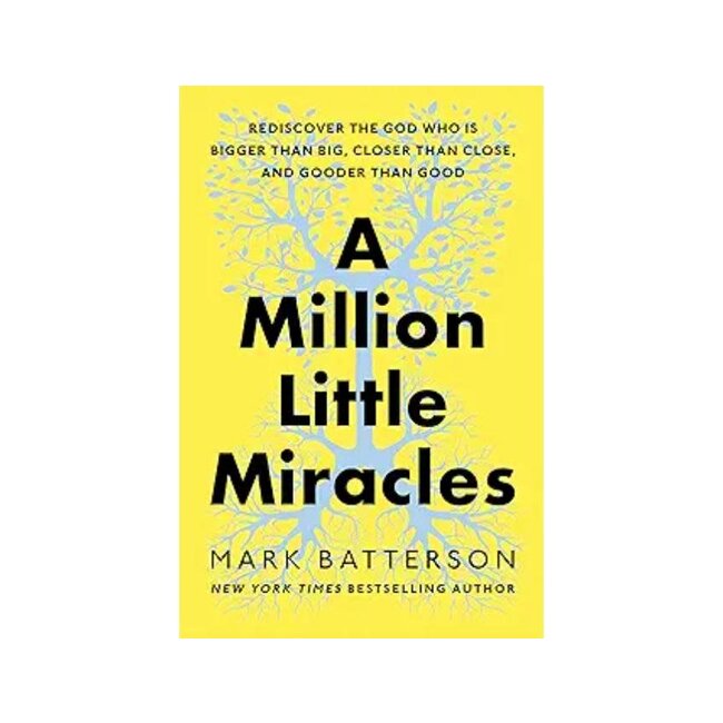 A Million Little Miracles