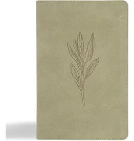 CSB Large Print Personal Size Reference Bible Sage Leathertouch Indexed
