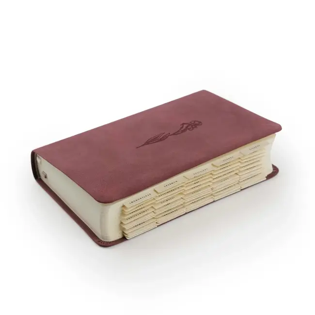 Hosanna Revival Bible Tabs: Black