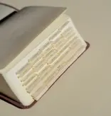 Hosanna Revival Bible Tabs: Black