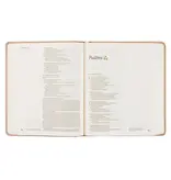 NLT Notetaking Bible : Shiloh Theme