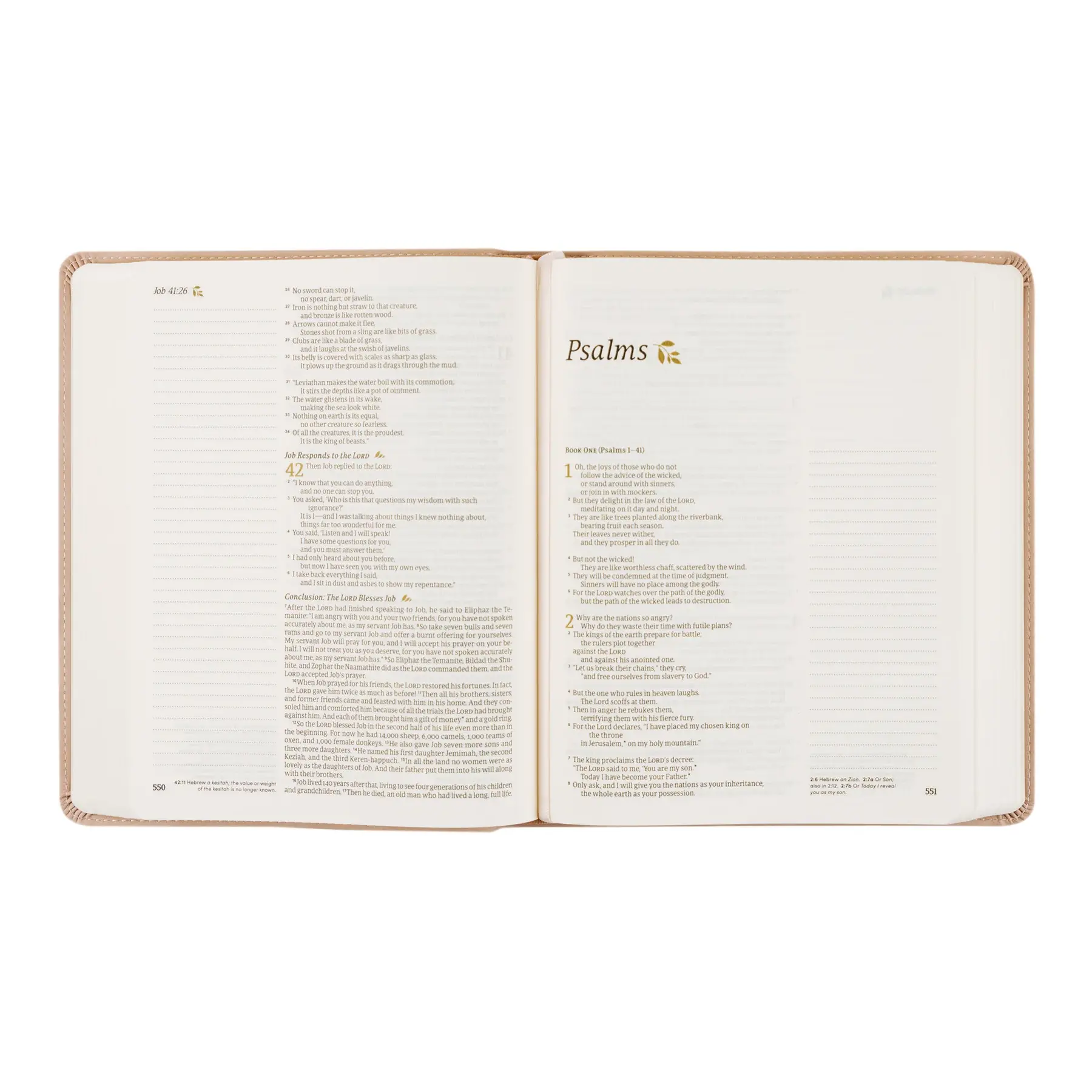 NLT Notetaking Bible : Shiloh Theme